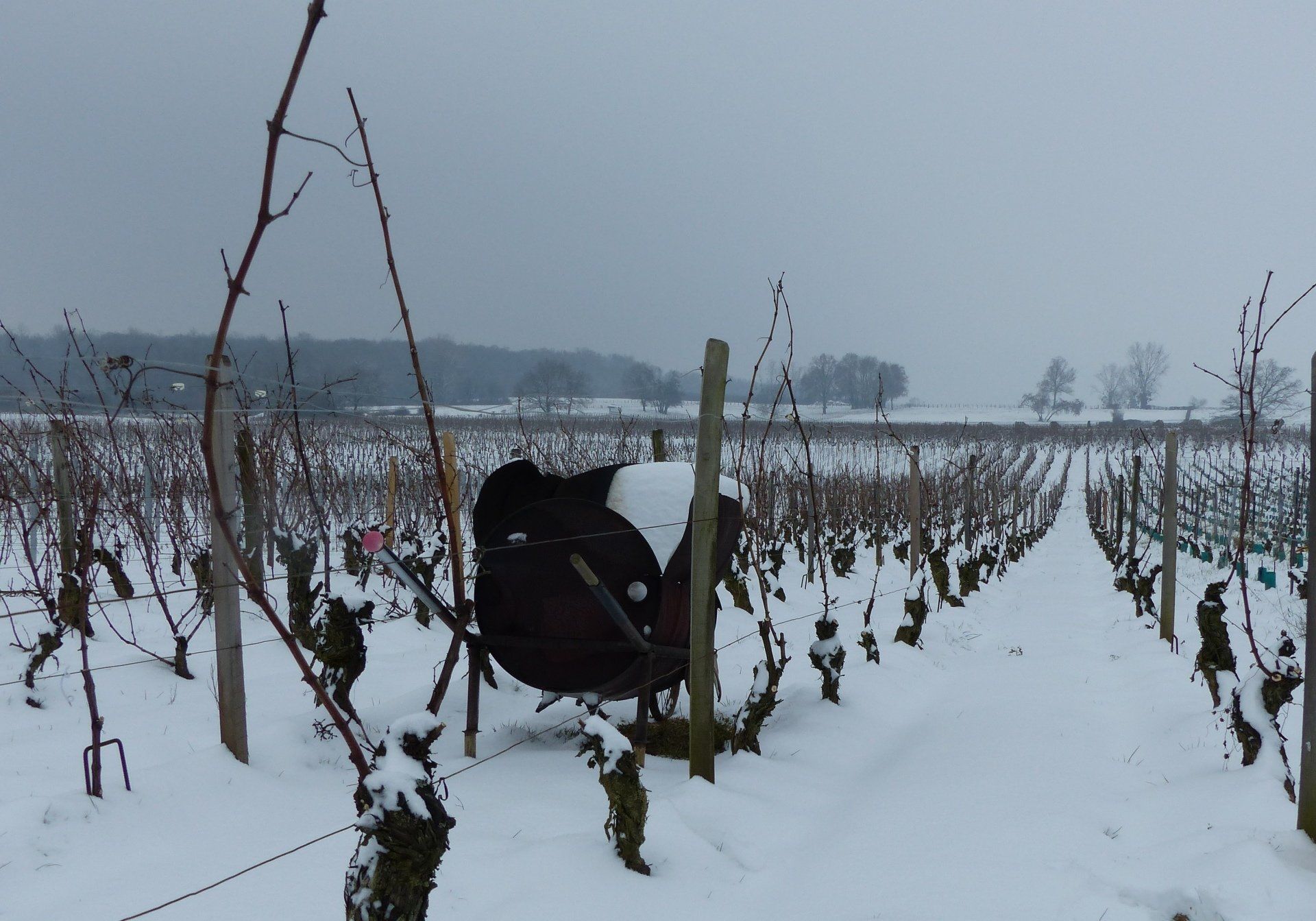 L'hiver à Quintaine...