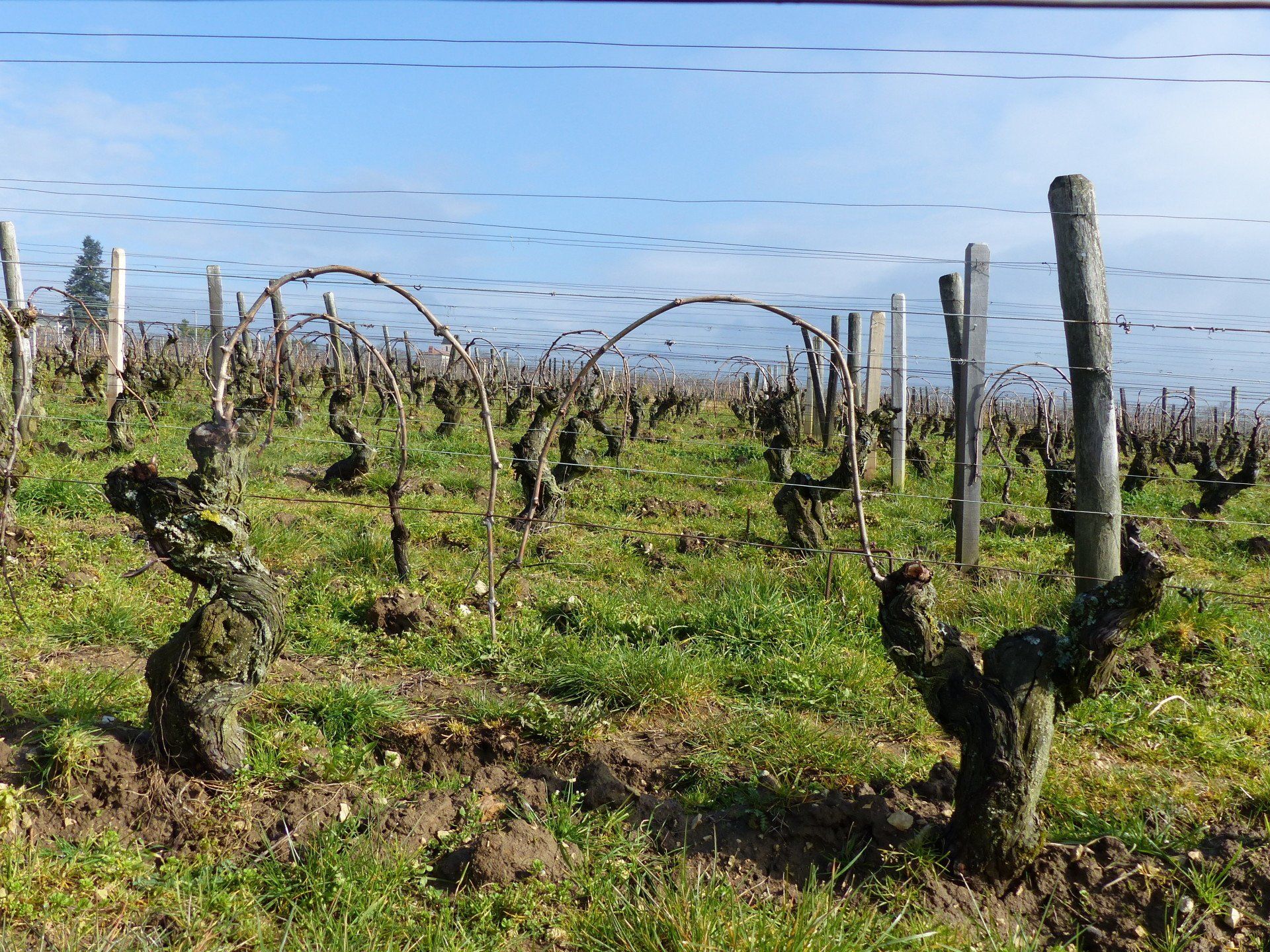 Pliage des baguettes