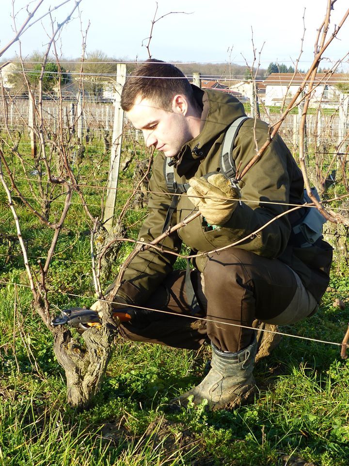 Quentin Michel, viticulteur