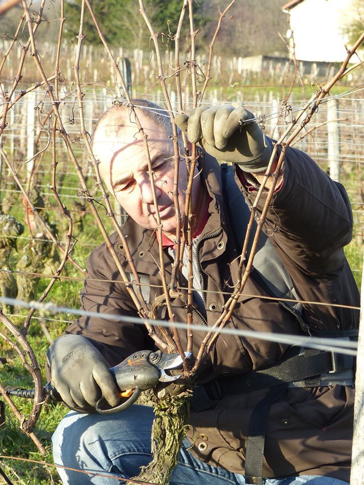 Jean-Pierre, taille d'hiver