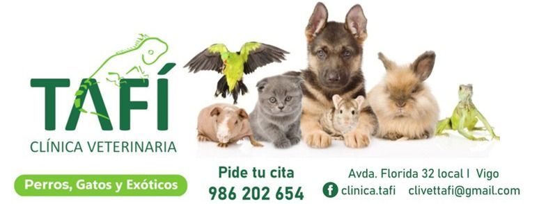 Logotipo de la Clínica Veterinaria Tafi, con varias mascotas, como un perro, un gato y un loro. Texto en verde y blanco con información de contacto.