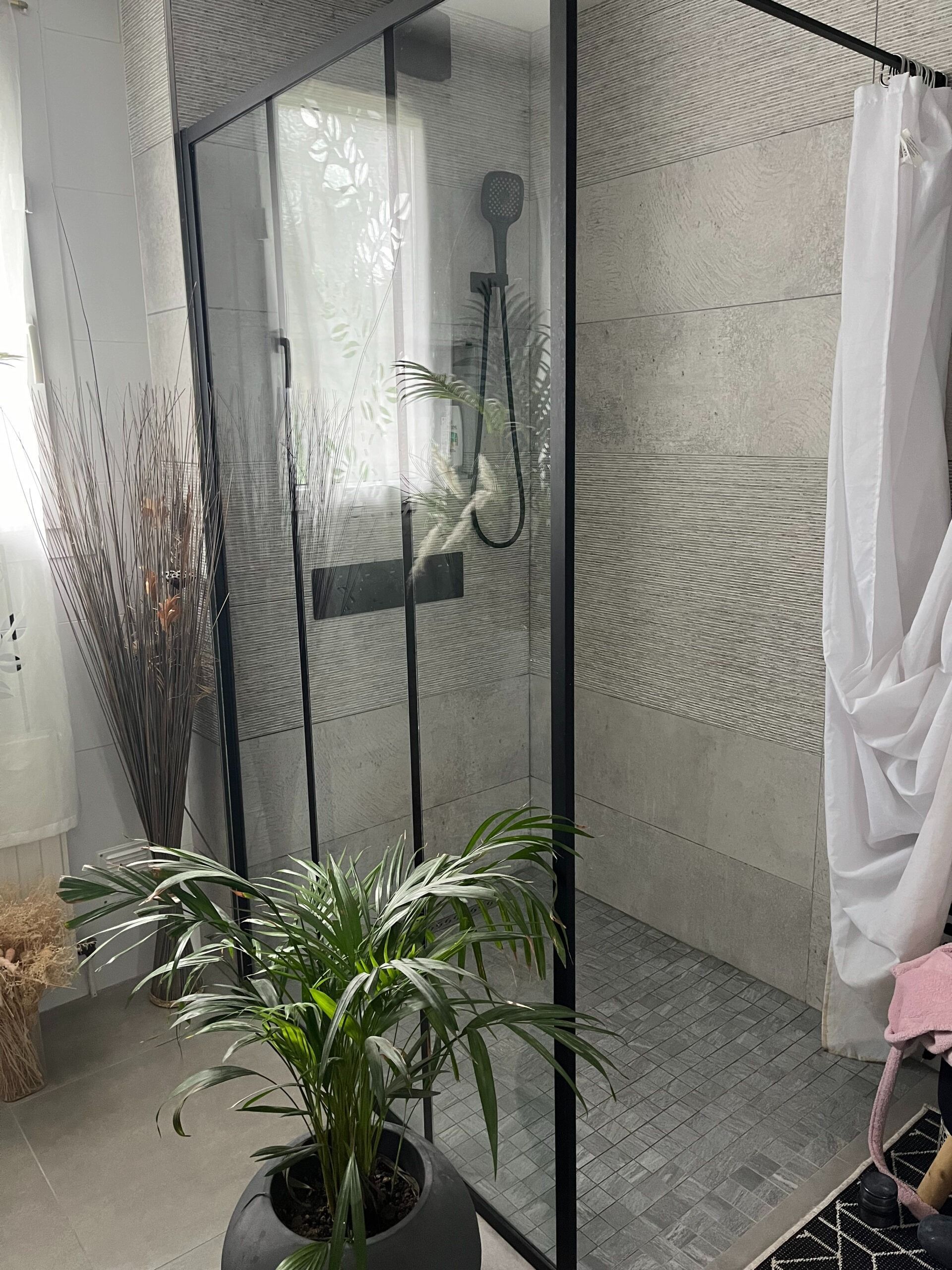 Salle de bains avec douche en verre, sol et murs carrelés de gris et une plante en pot.