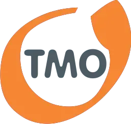 TMO Consulting Oy