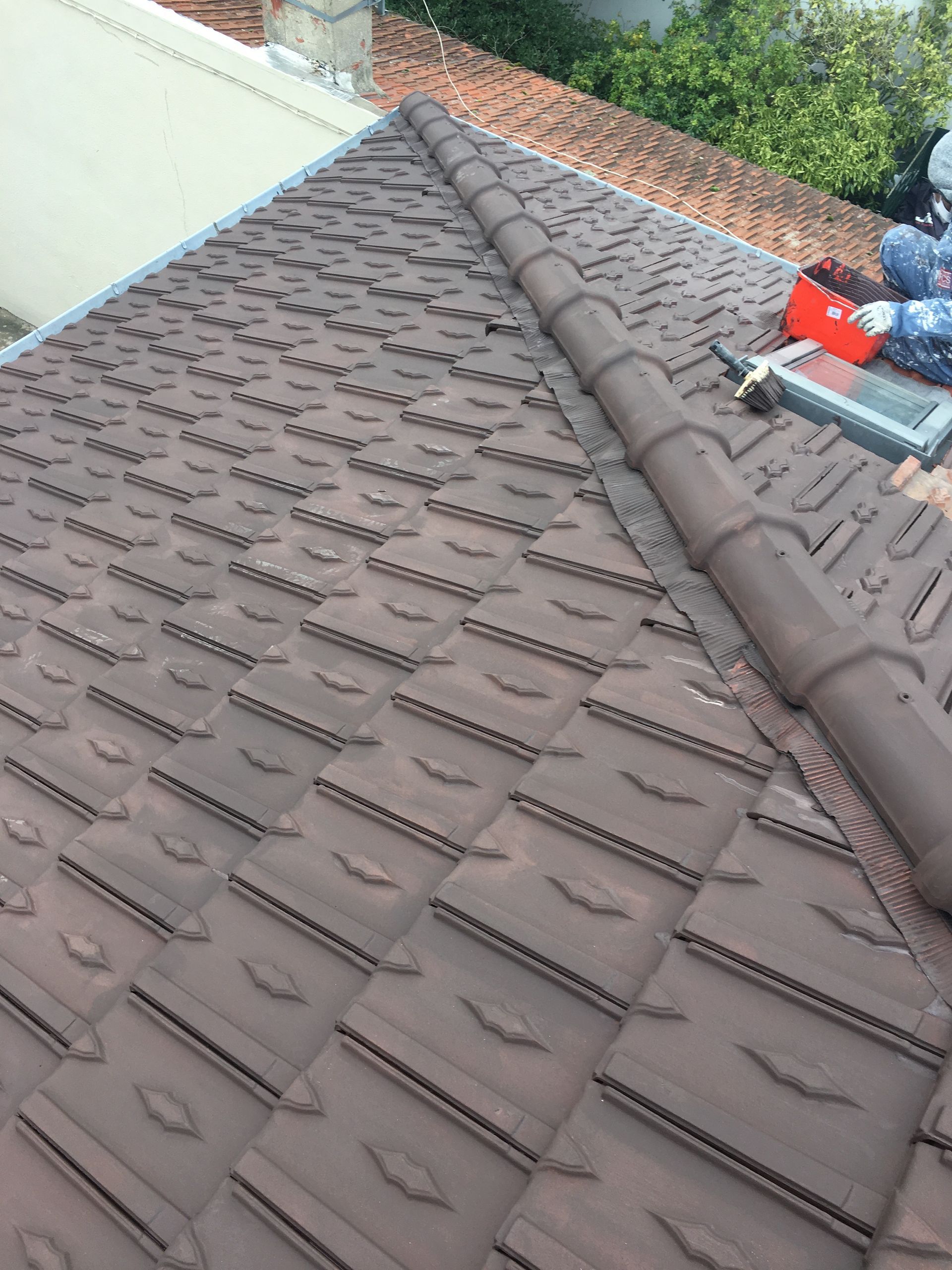 Travaux de peinture sur toiture final