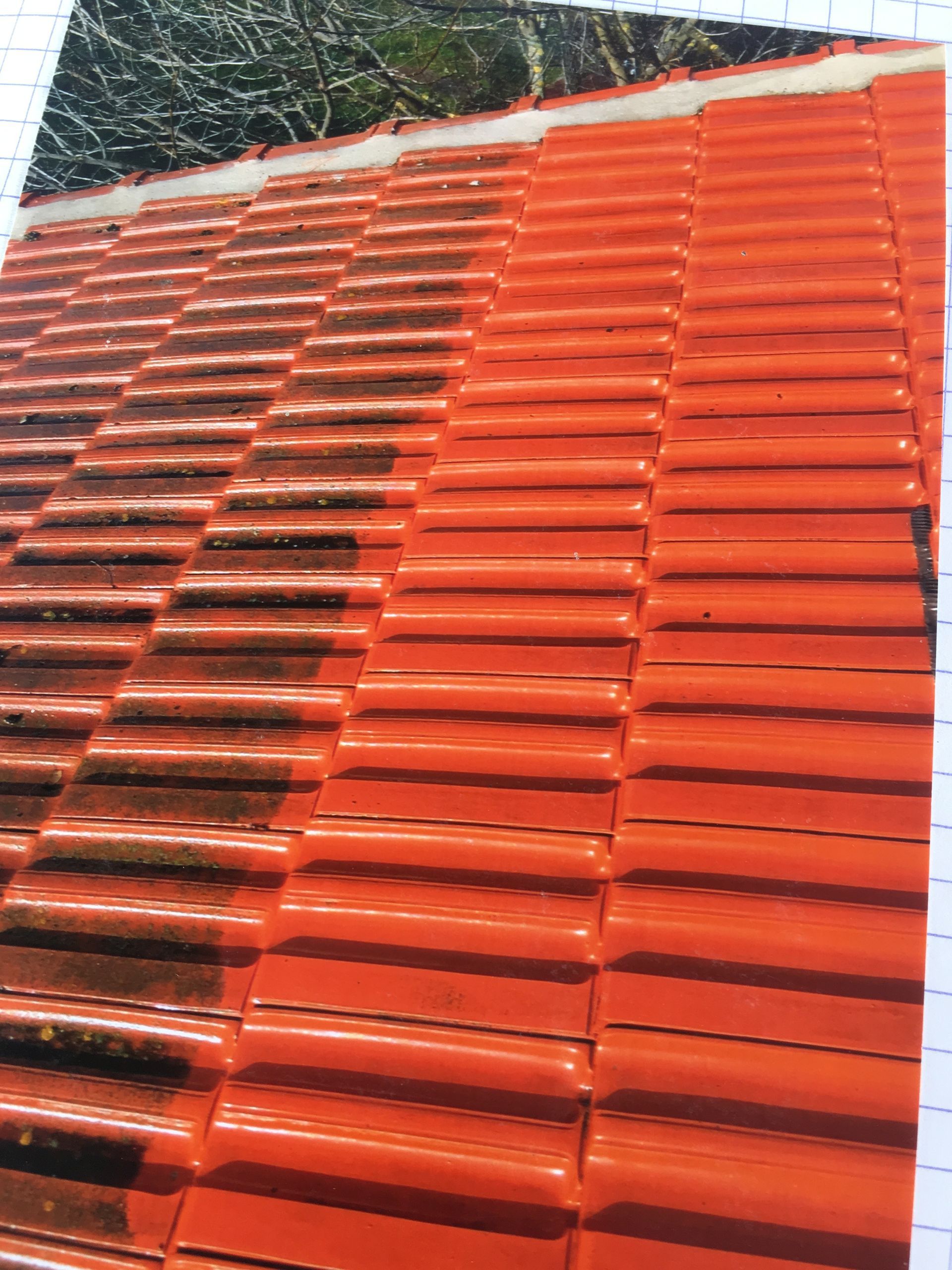 Nettoyage de toiture