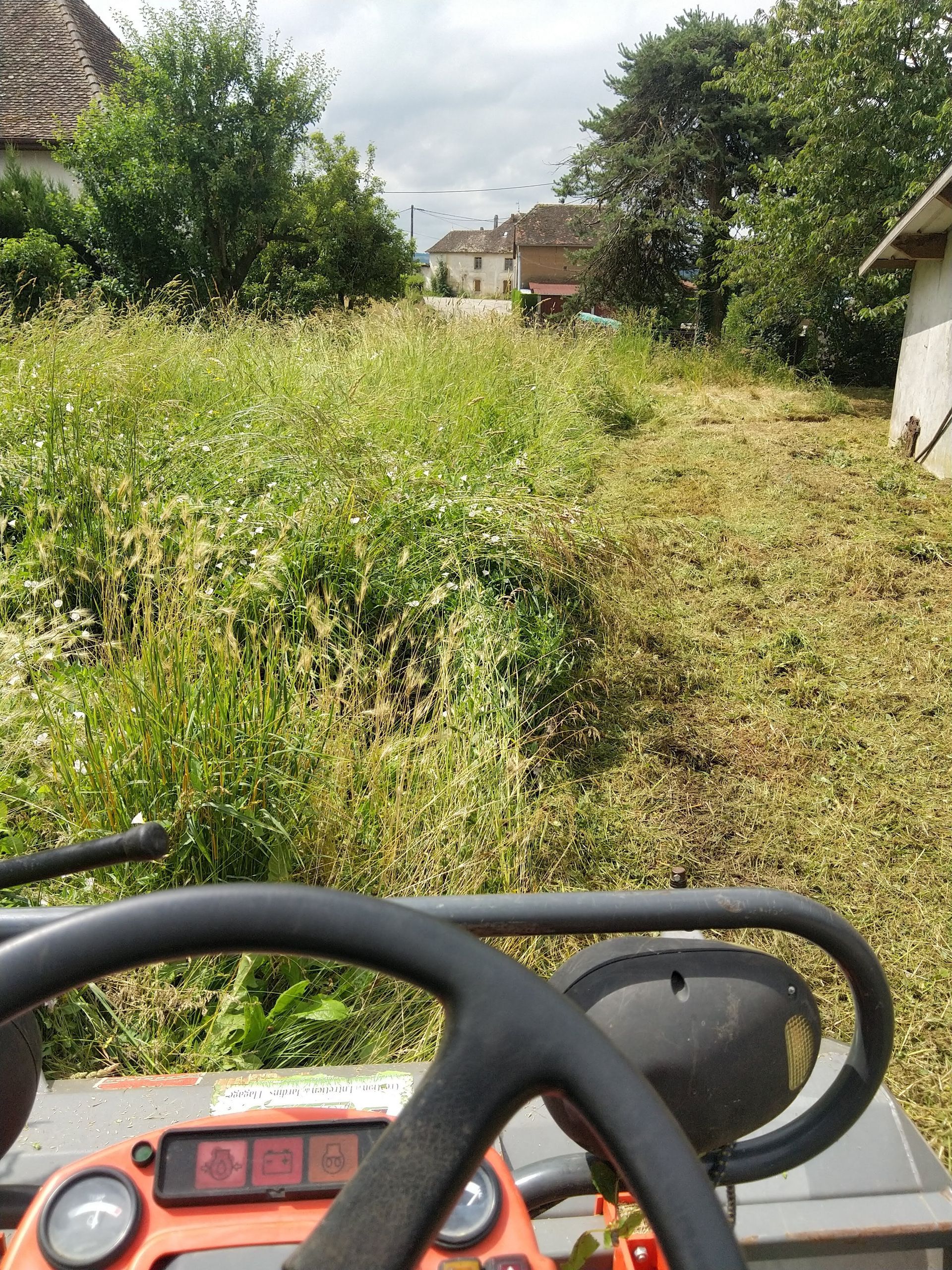 Débroussaillage terrain en friche