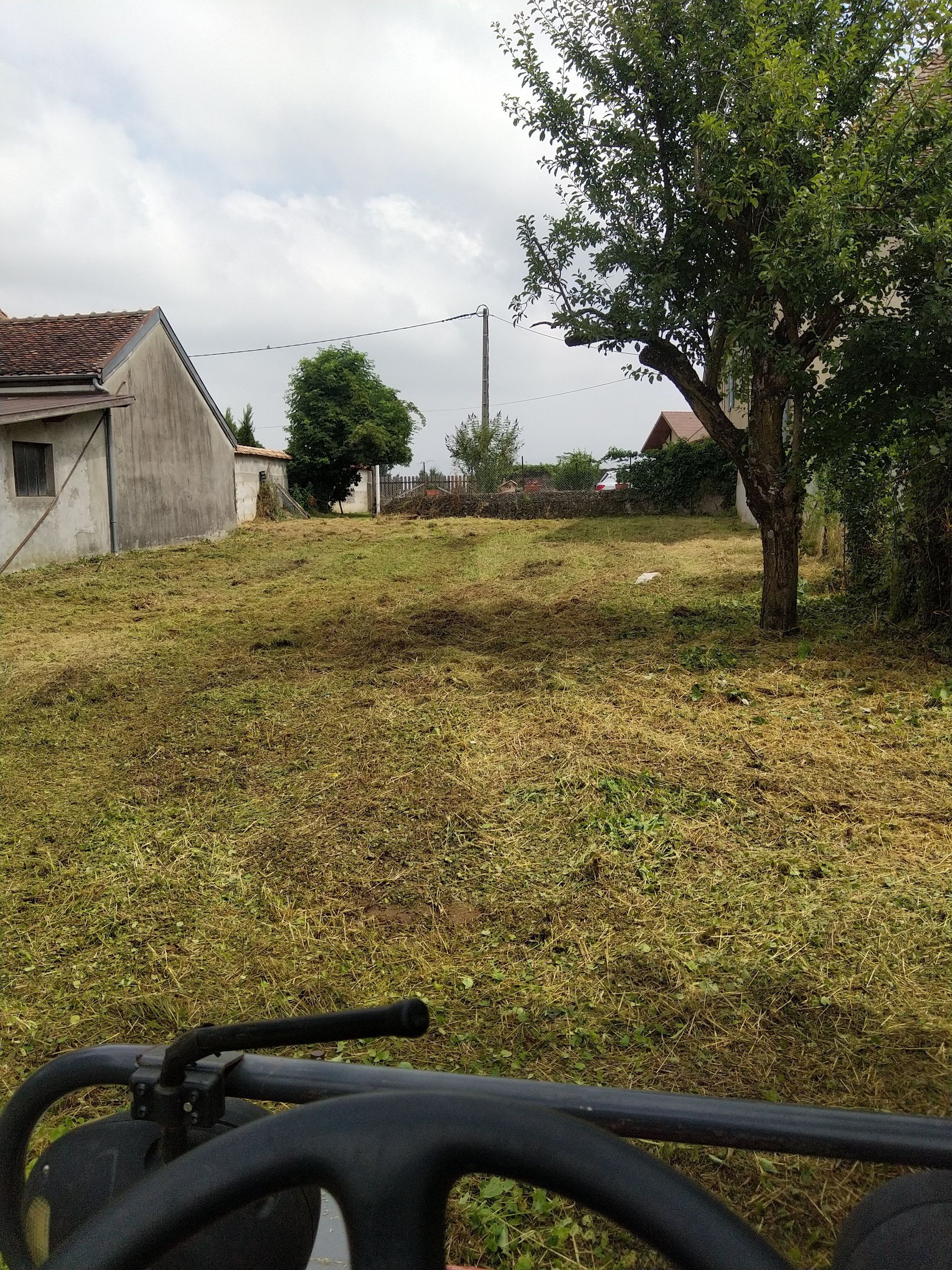 Tonte de gazon
