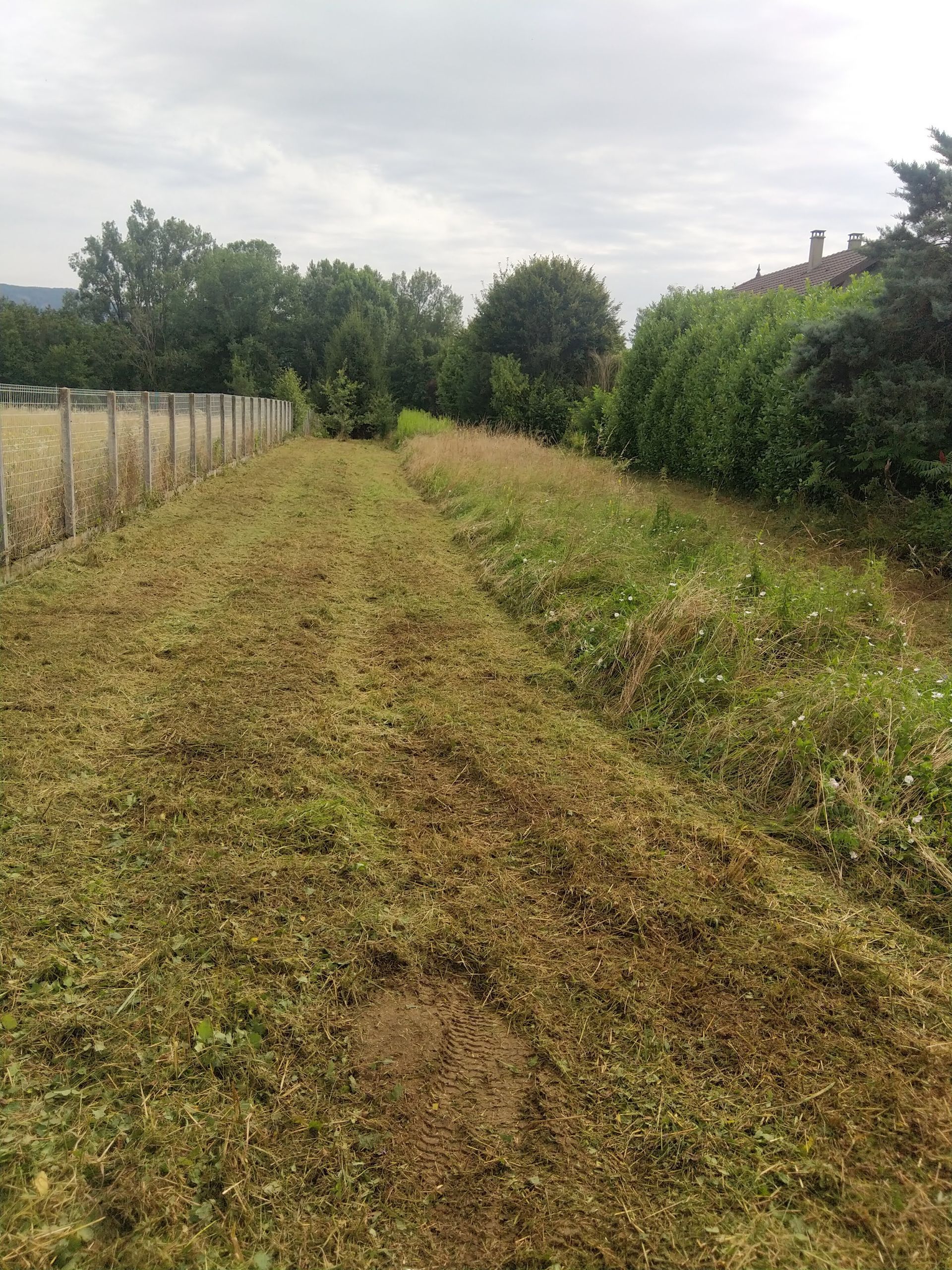 Débroussaillage de champs