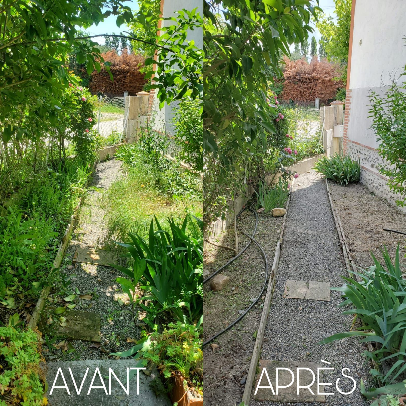 Nettoyage de chemin.