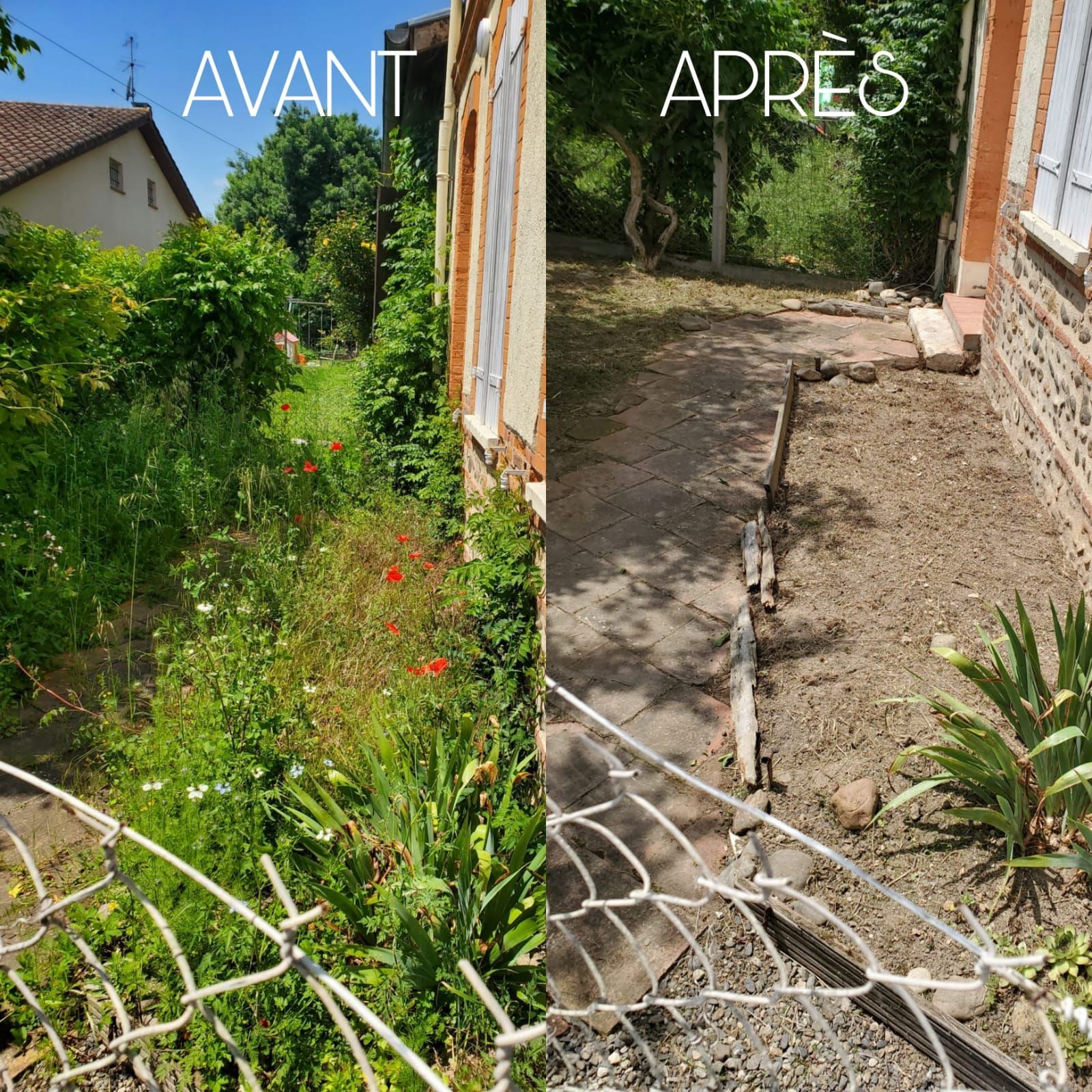 Débroussaillage et nettoyage de chemin.