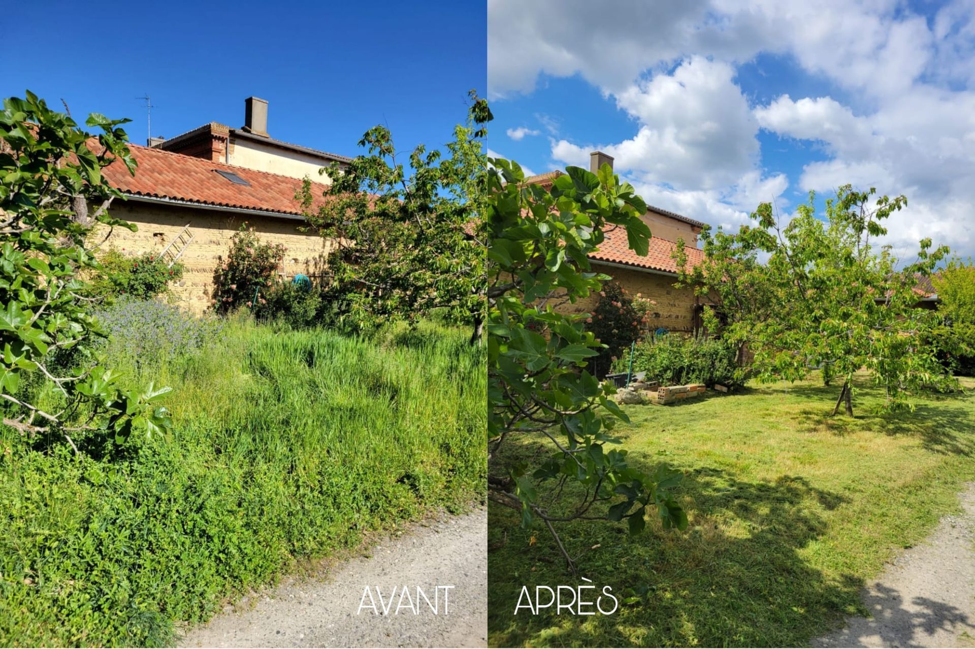 Remise en état d'un jardin