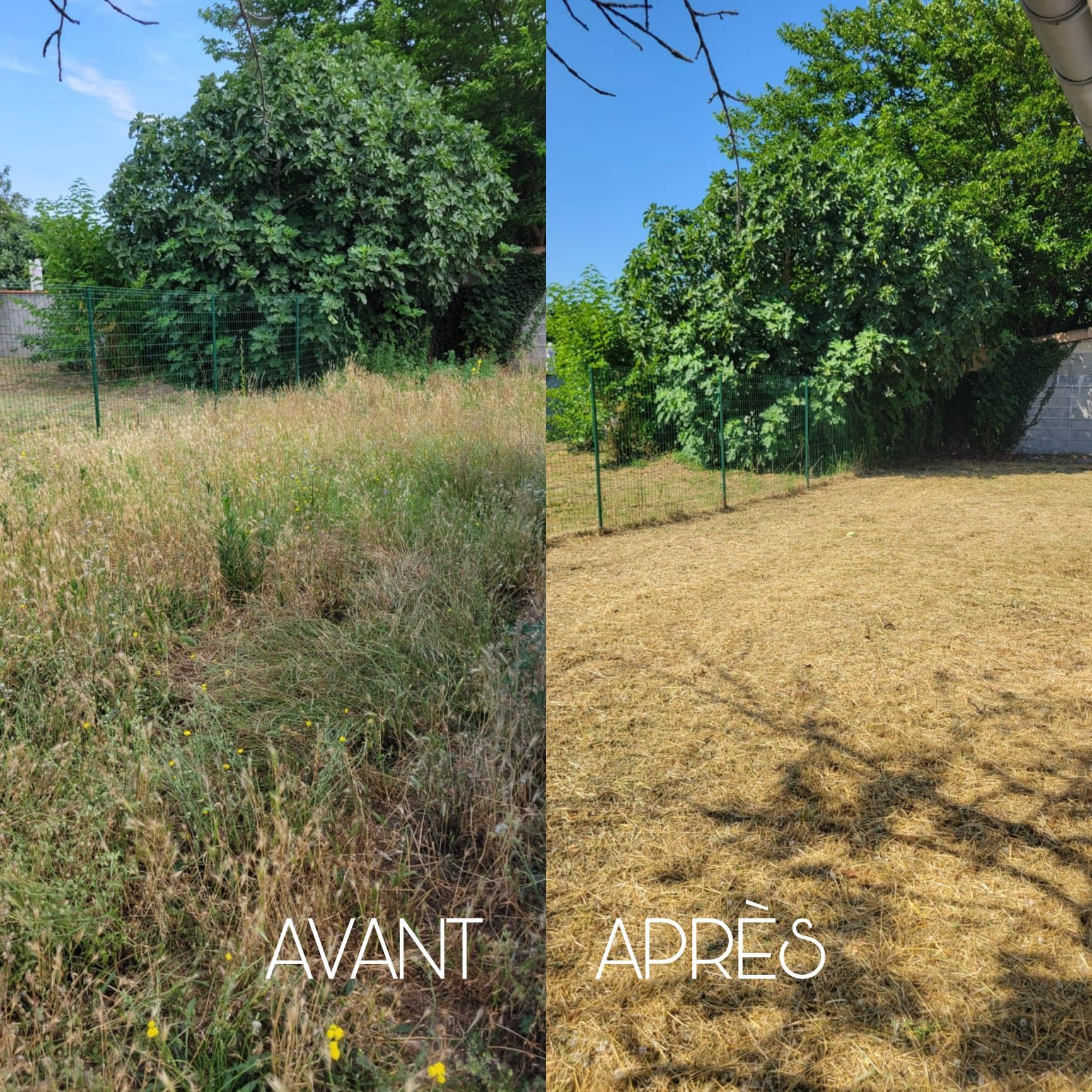 Tonte et débroussaillage.