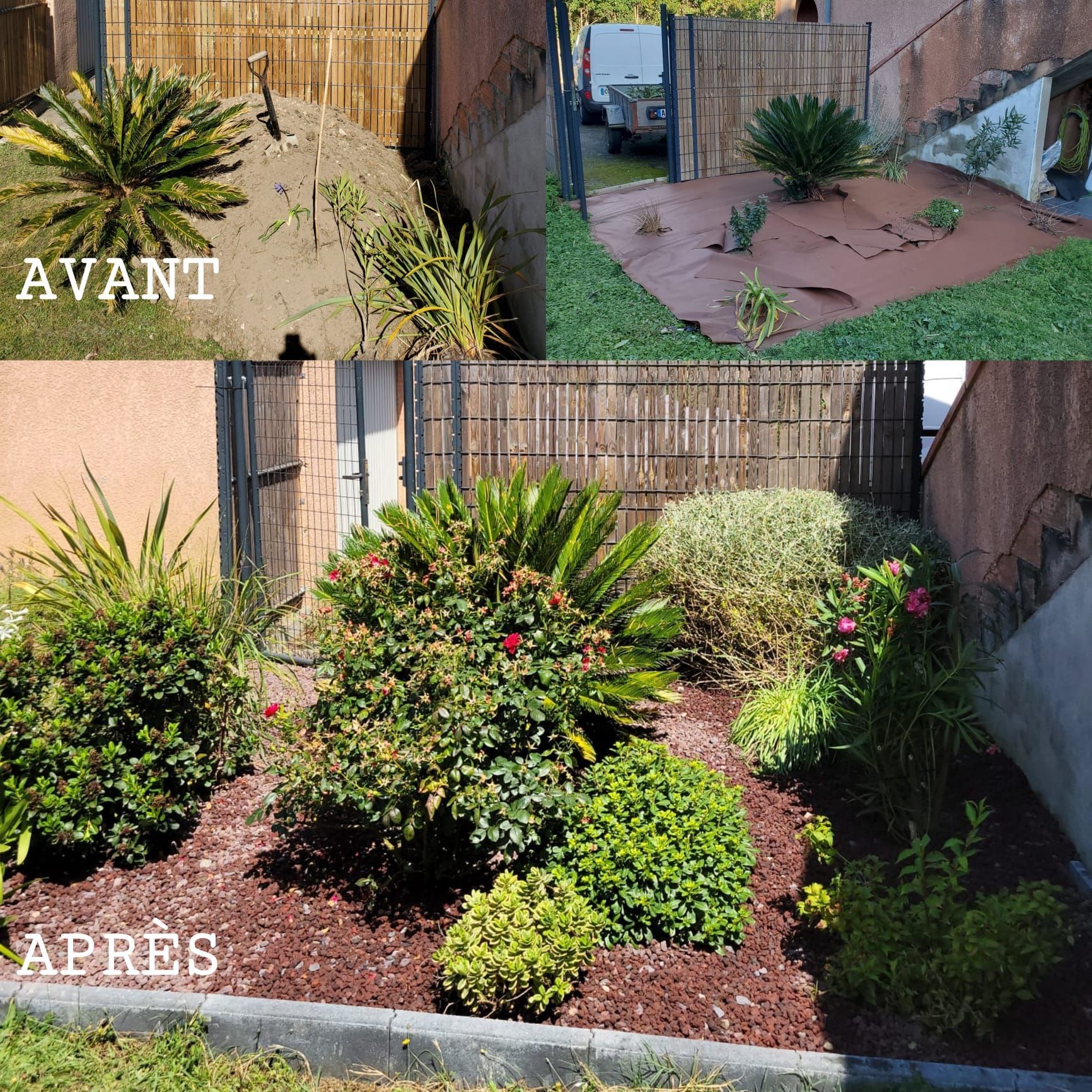 Plantation de plantes.