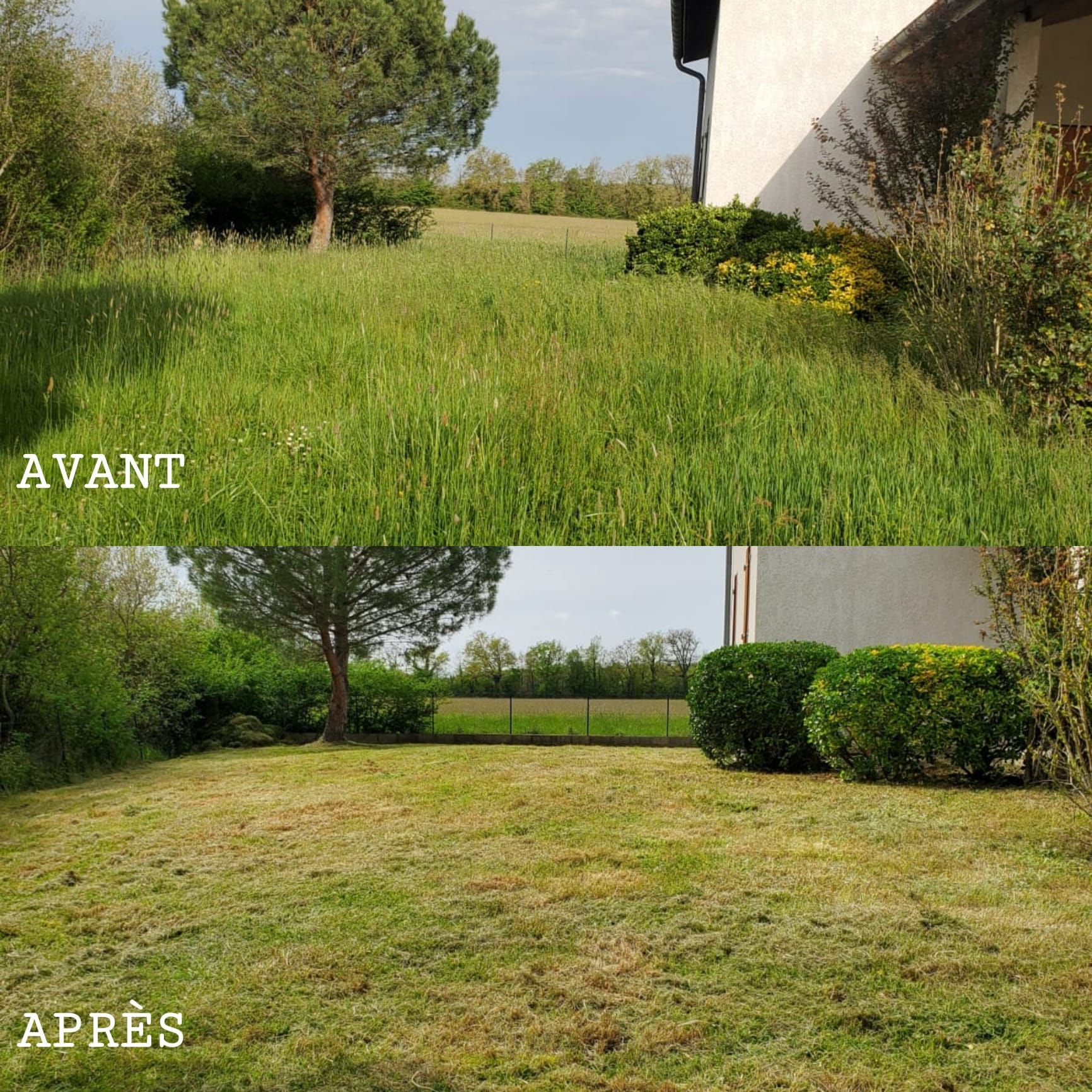 Remise en état d'un jardin.