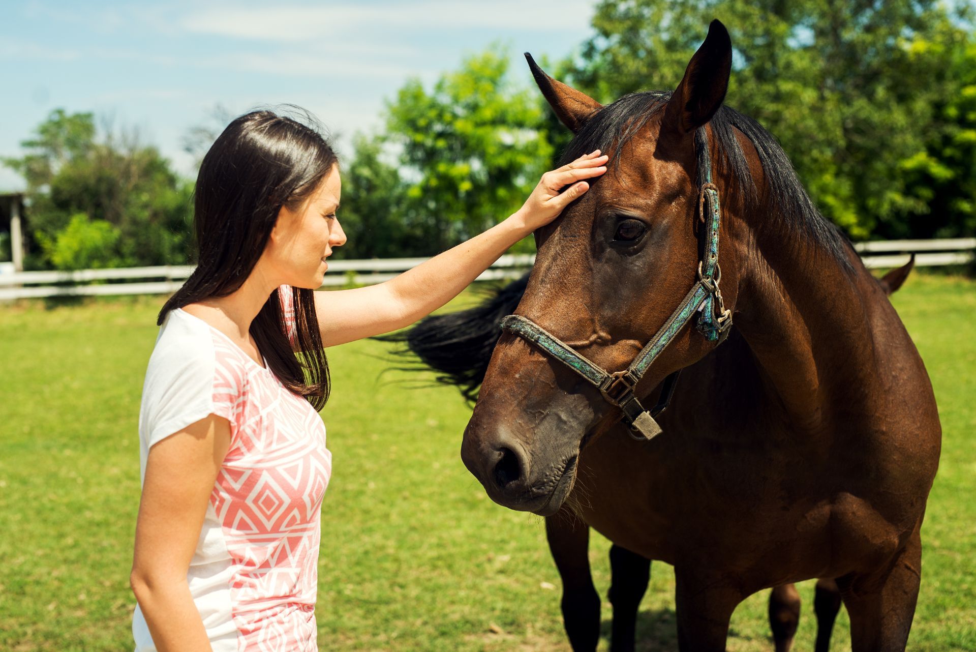 Foto Frau mit Pferd