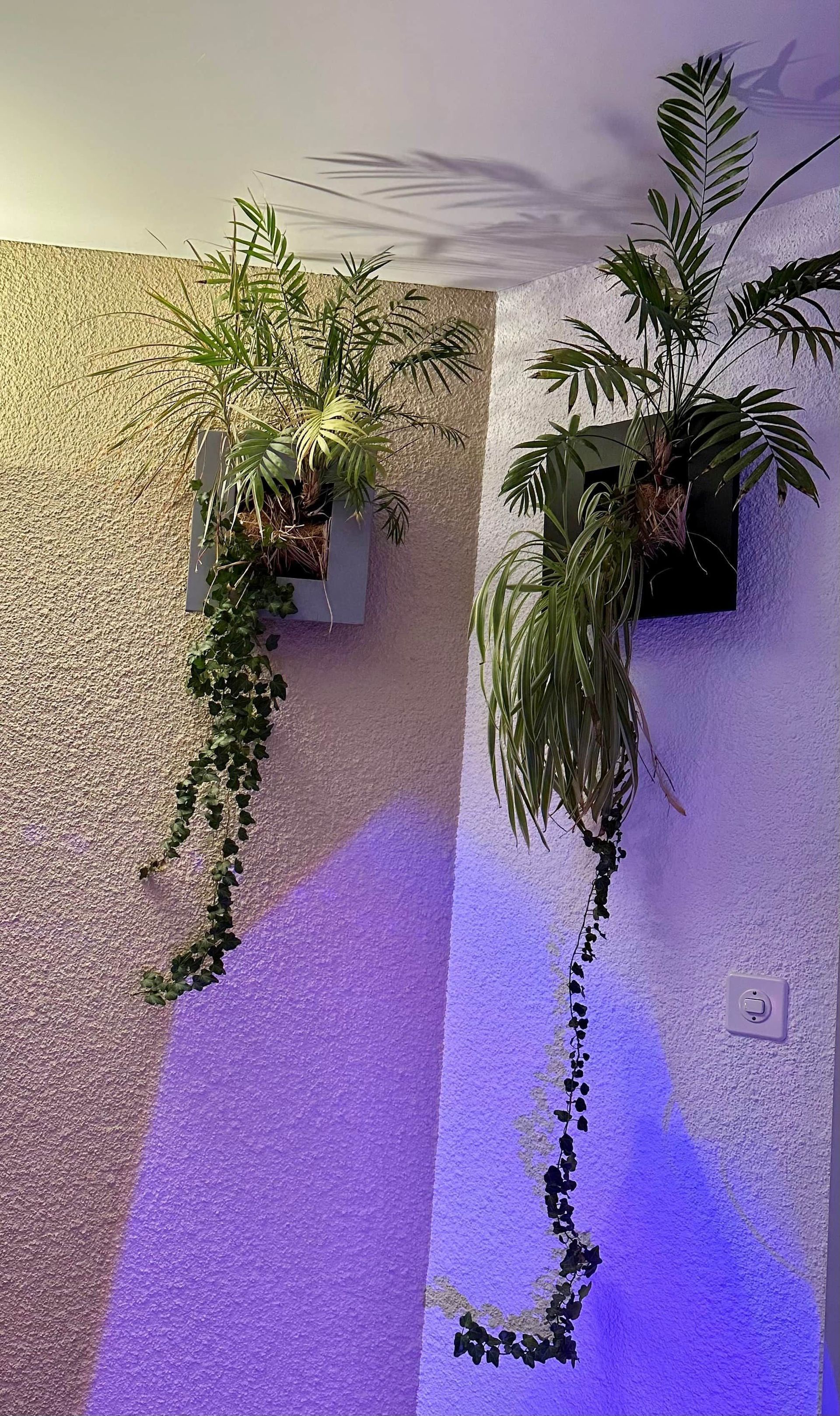 Ostéopathie - Physiothérapie