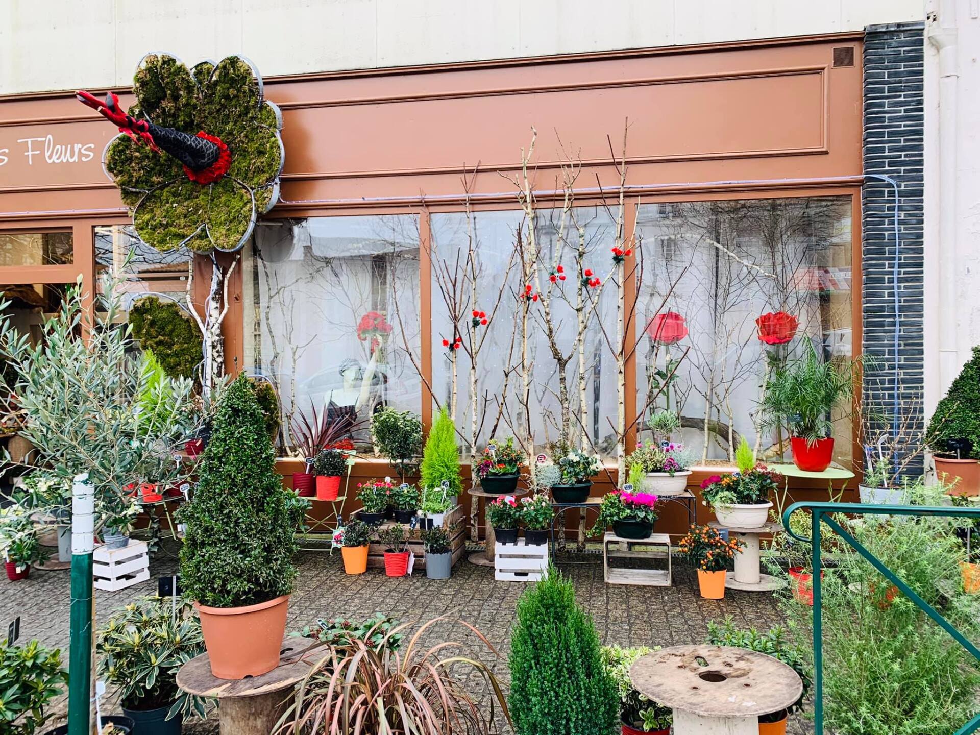 Différentes plantes en extérieur