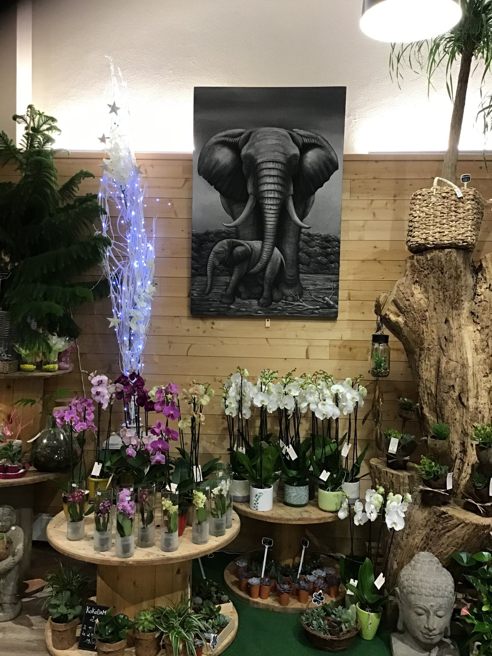 Petites fleurs sous un tableau d'éléphant