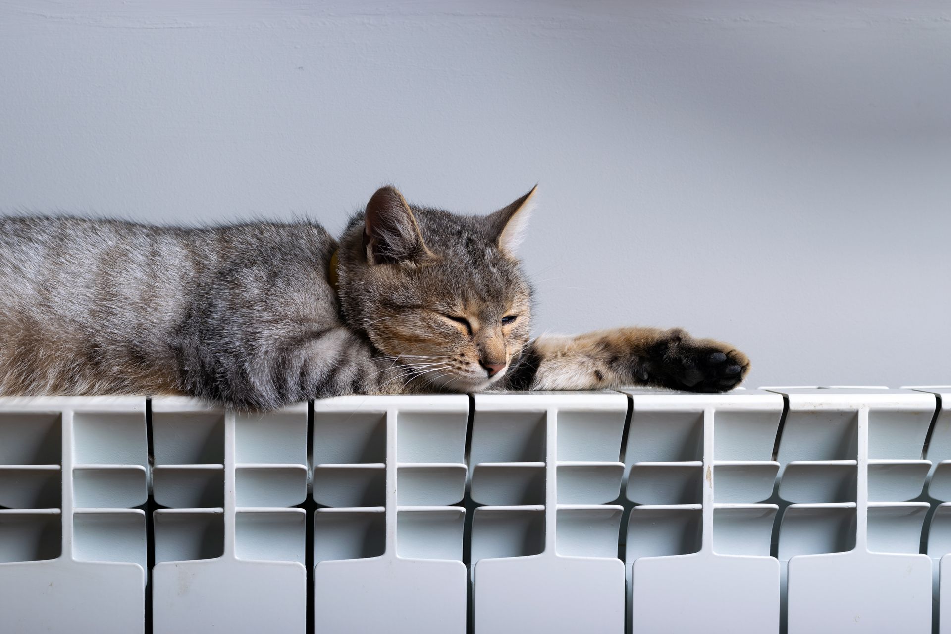 Chat tigré endormi sur un radiateur blanc.