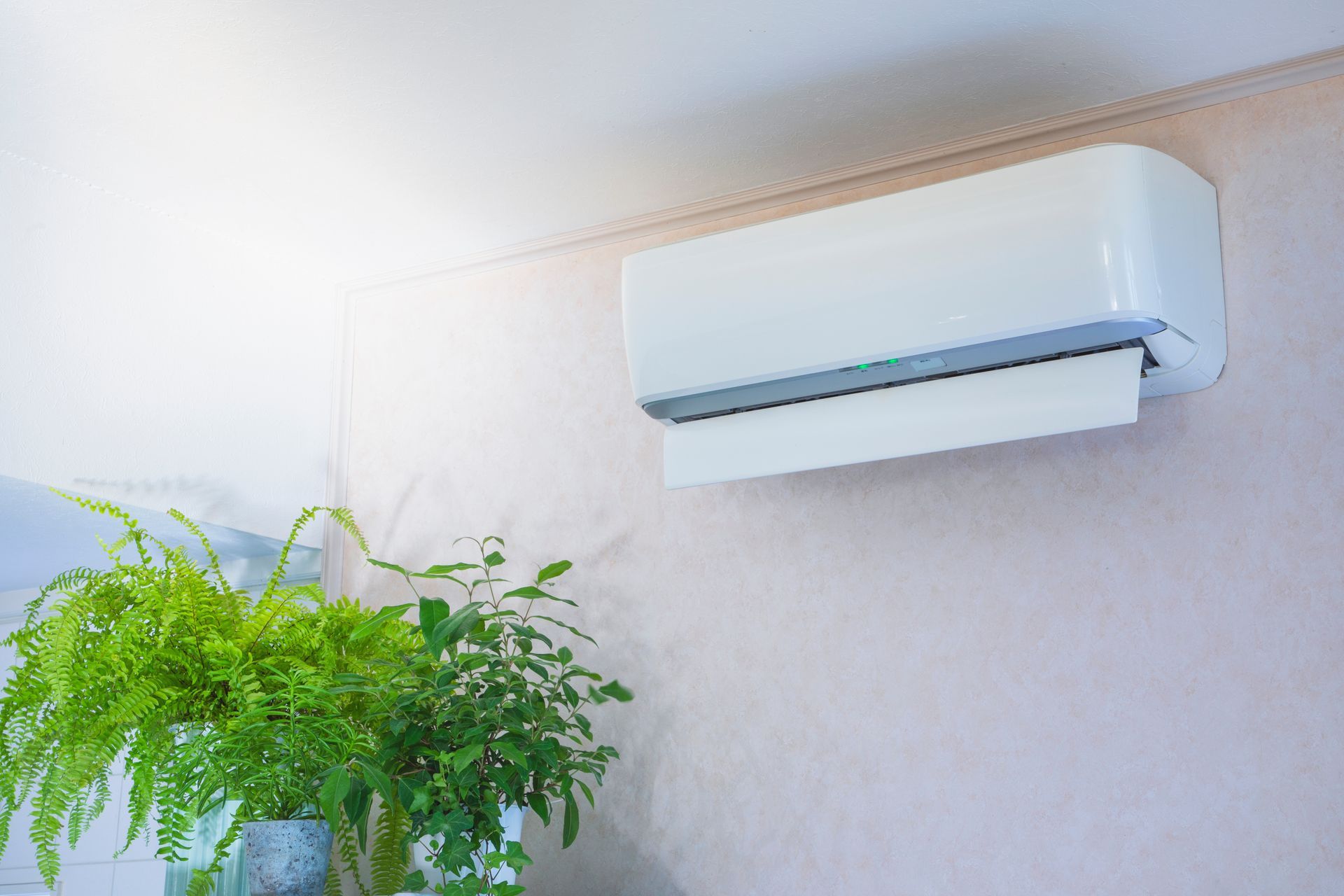 Climatiseur mural blanc au-dessus d'une plante verte en pot dans une pièce lumineuse