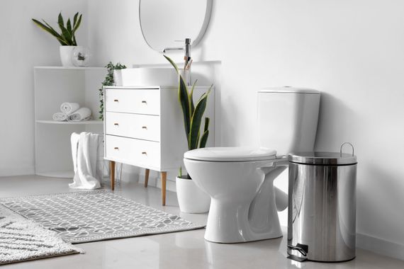 Salle de bains moderne blanche avec toilettes, lavabo, meuble de rangement, plantes, tapis et poubelle argentée.