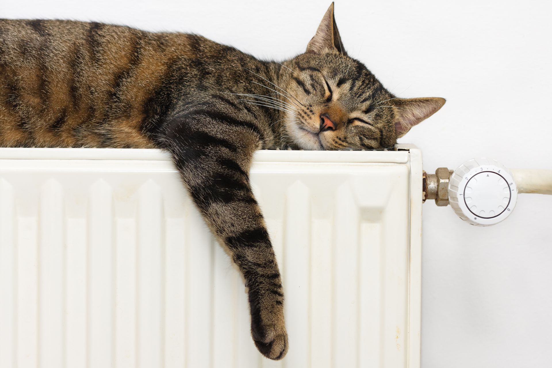 Chat tigré endormi, une patte pendante sur un radiateur blanc.