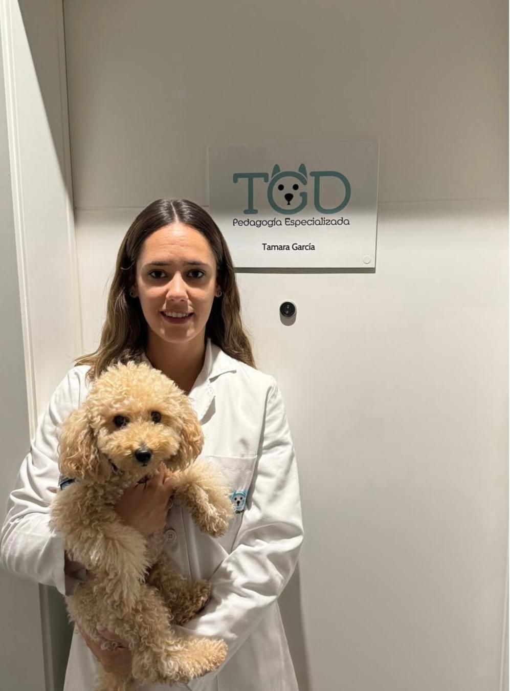 Persona frente a un perro pequeño y esponjoso sobre una mesa, con estanterías de libros en el fondo.