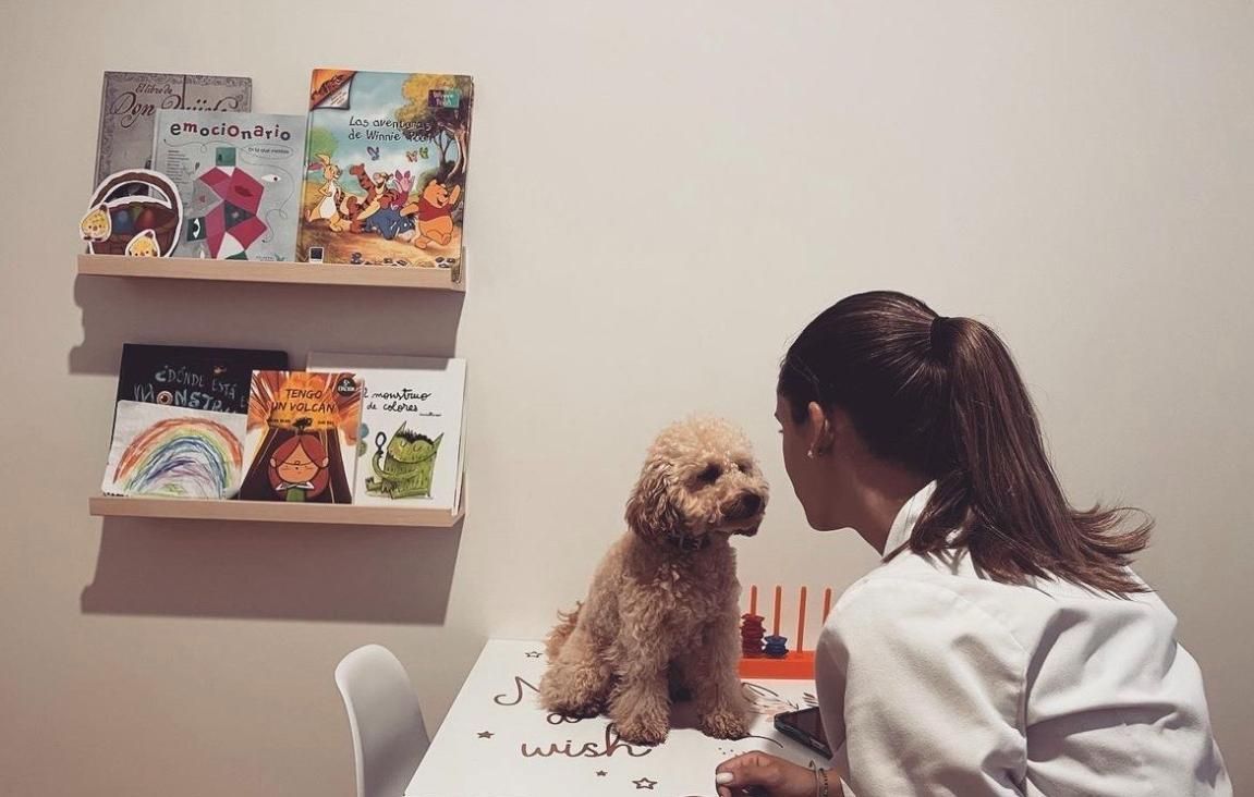 Persona frente a un perro pequeño y esponjoso sobre una mesa, con estanterías de libros en el fondo.