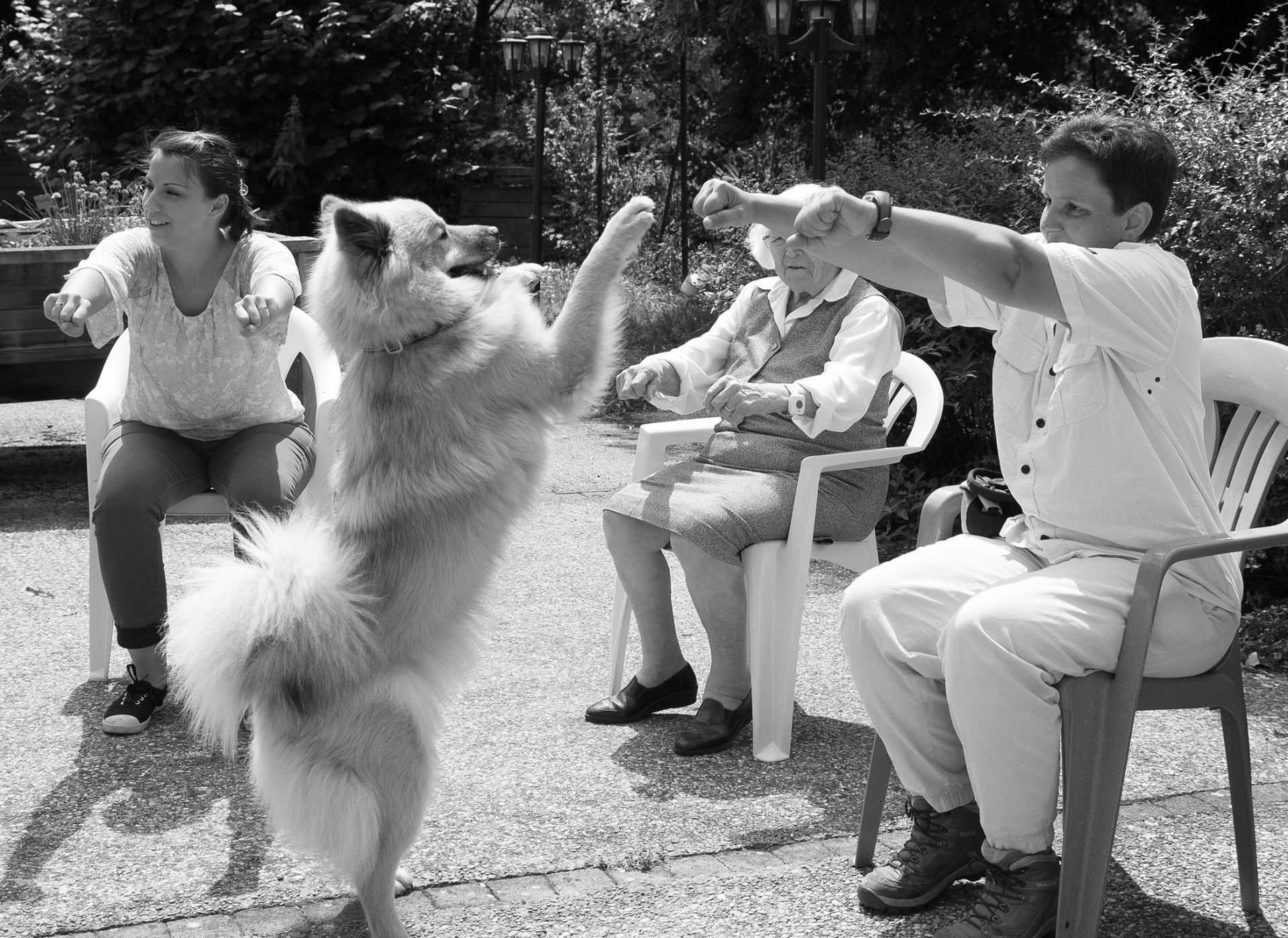 Un chien debout sur ses pattes arrière tend la patte à une personne assise à l'extérieur, sous le regard d'autres personnes.