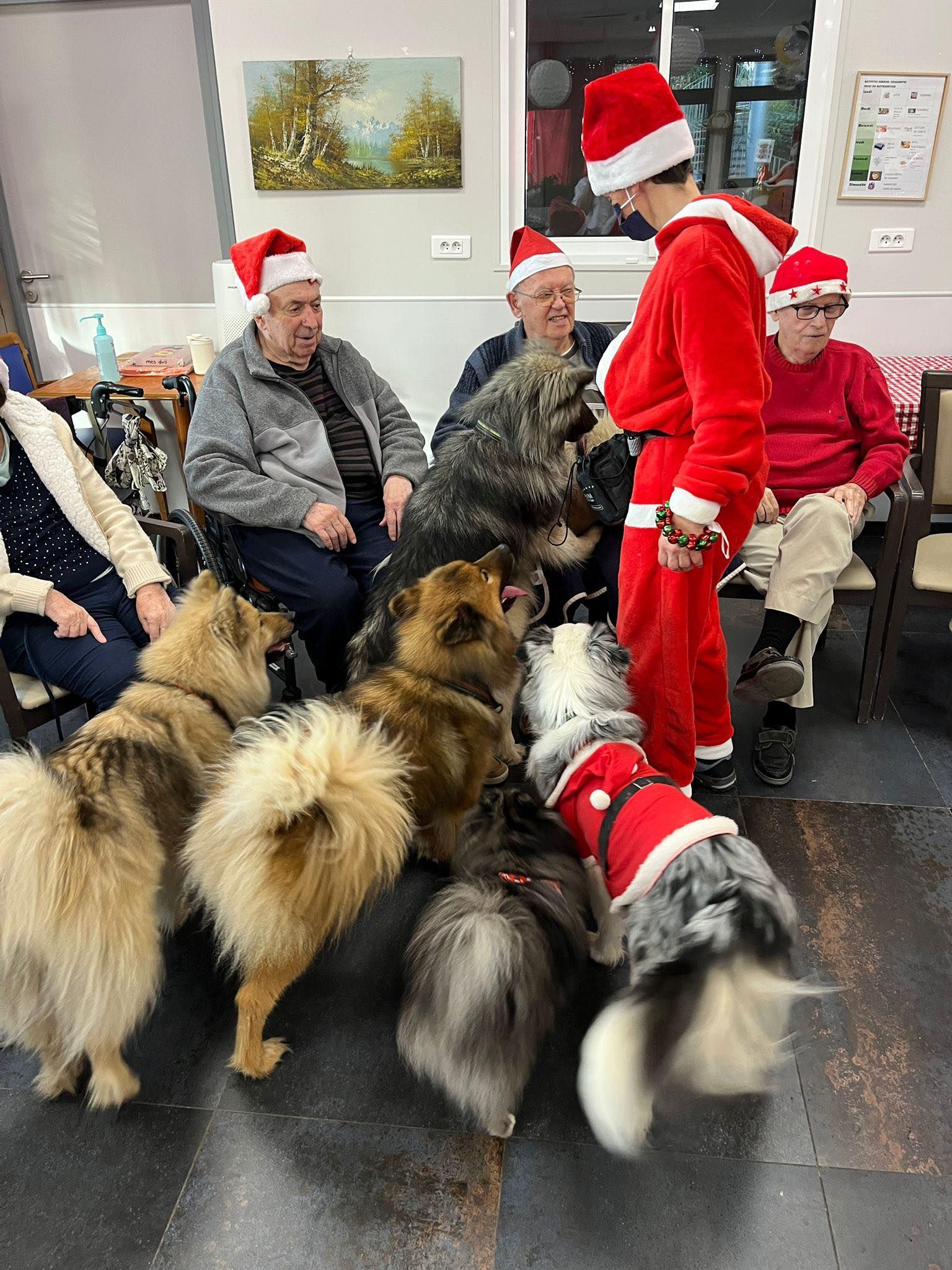 Le Père Noël, vêtu d'un costume rouge, se tient debout dans une pièce, entouré de plusieurs chiens duveteux et de personnes assises.