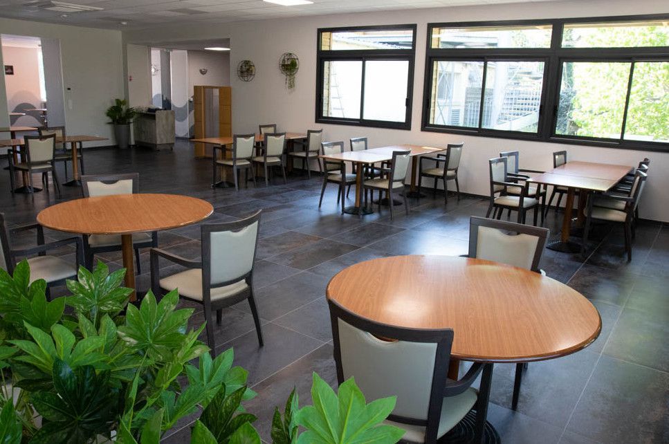 Cafétéria vide avec tables rondes, chaises, plantes en pot et grandes fenêtres laissant entrer la lumière du jour