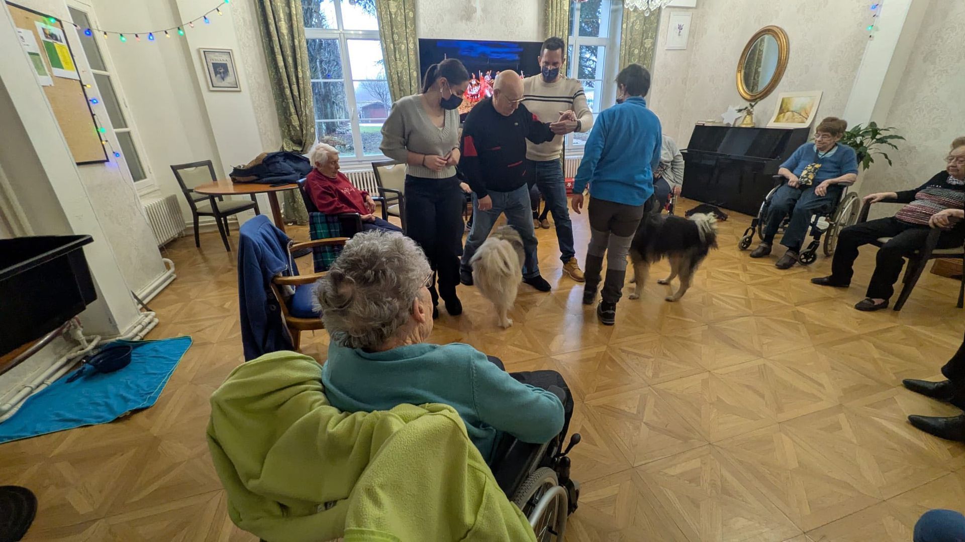 Des personnes assises et debout autour de deux chiens interagissent dans un salon lumineux.