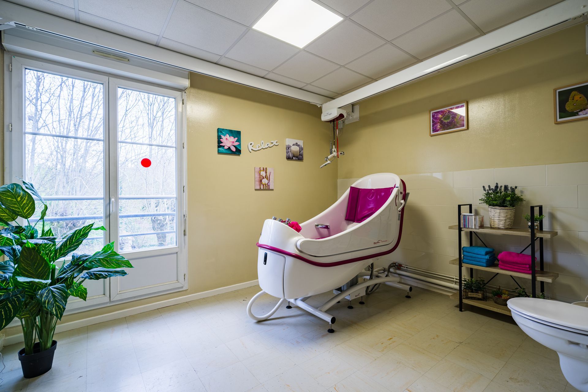 Salle d'accouchement lumineuse avec un lit d'accouchement rose et blanc, des fenêtres, des plantes et des étagères.