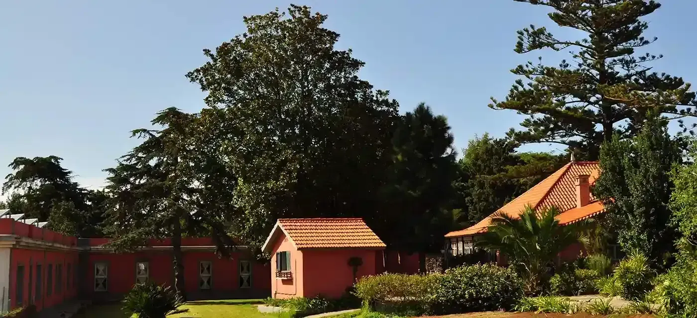 Una casa con techo rojo está rodeada de árboles y arbustos.