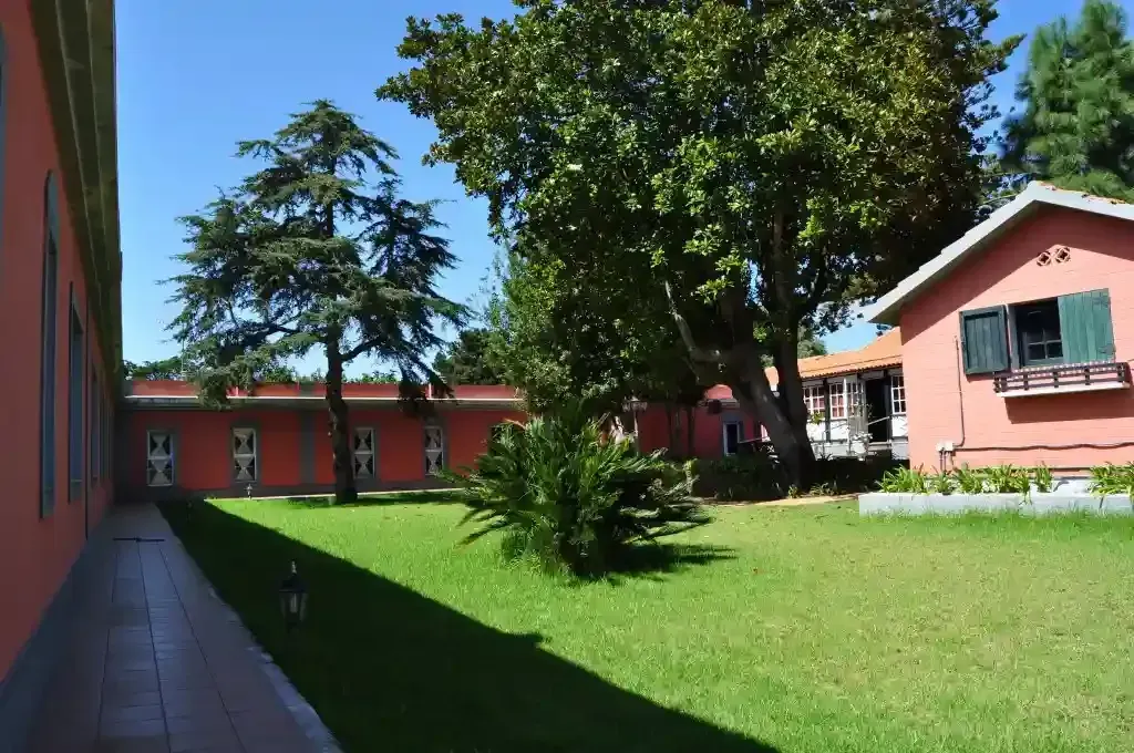 Una hilera de casas con un exuberante césped verde delante de ellas.