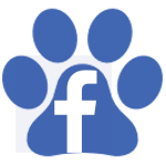 Découvrez le Facebook de Tendance Chiens et Chats