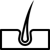 Gráfico en blanco y negro: folículo piloso con un solo cabello que crece hacia arriba desde la piel.