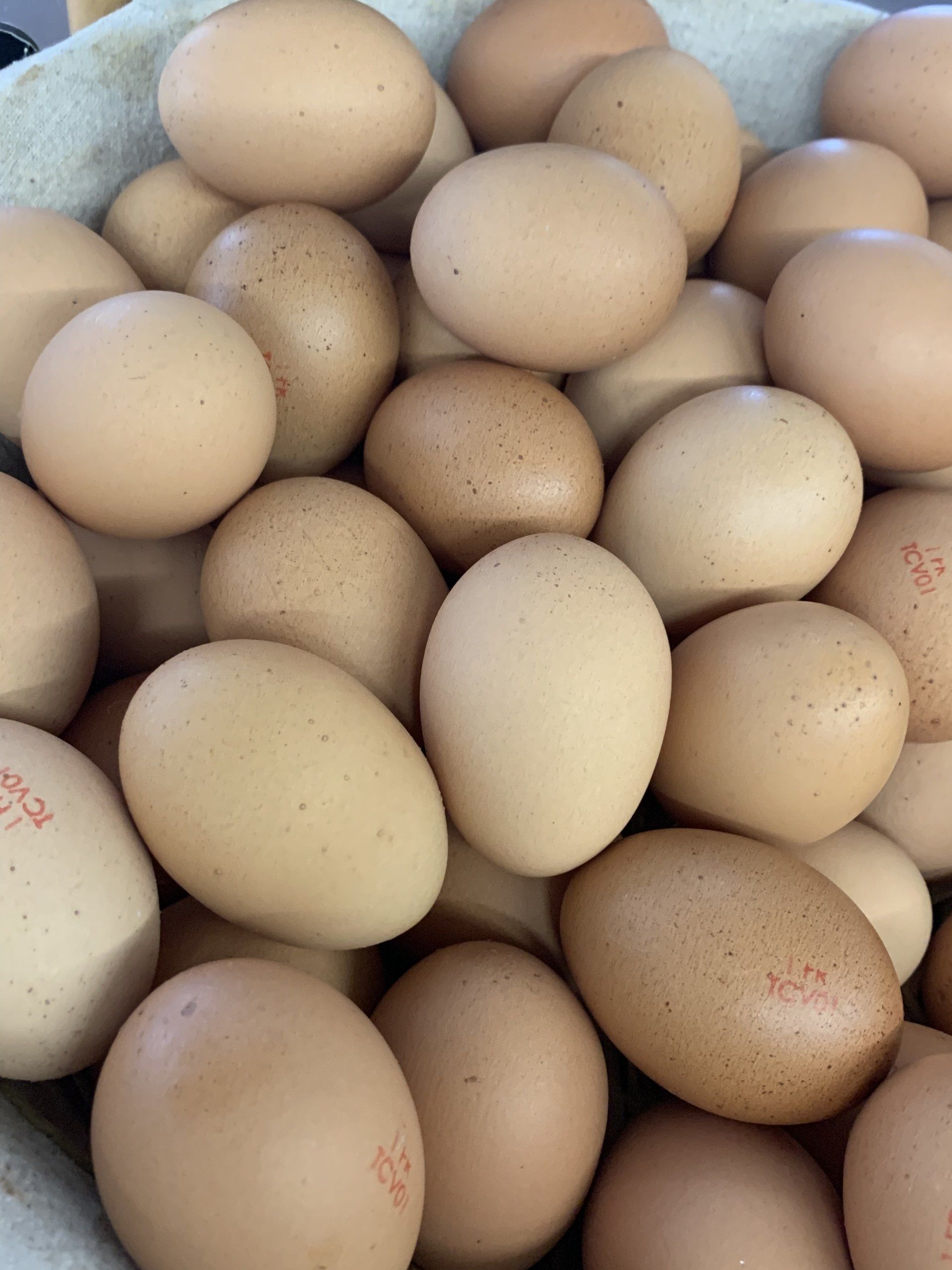 produits frais crêperie concarneau