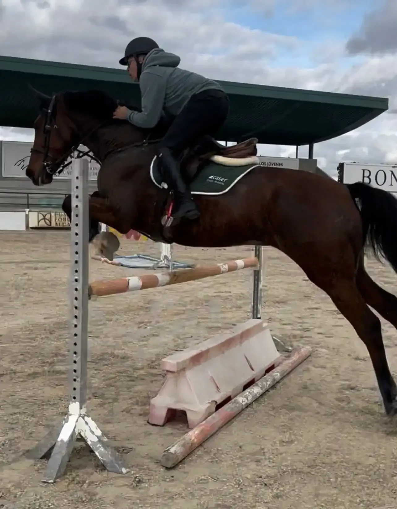Un jinete en un caballo marrón salta un obstáculo en un evento ecuestre al aire libre.