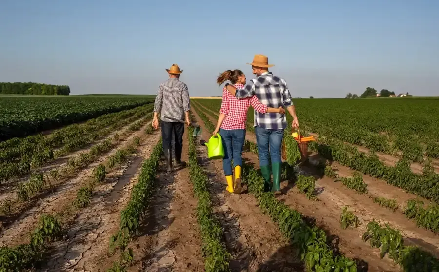 Tres personas caminando por un campo de cultivos, con sombreros y llevando herramientas de jardinería.