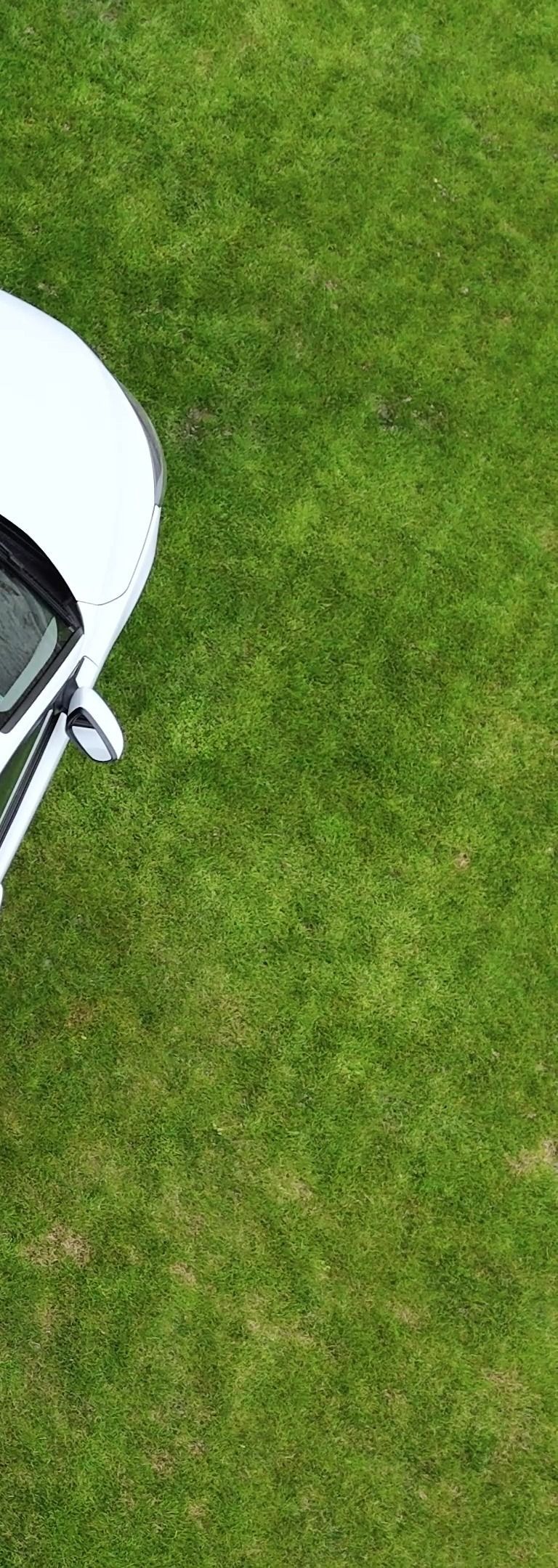 De l'herbe.