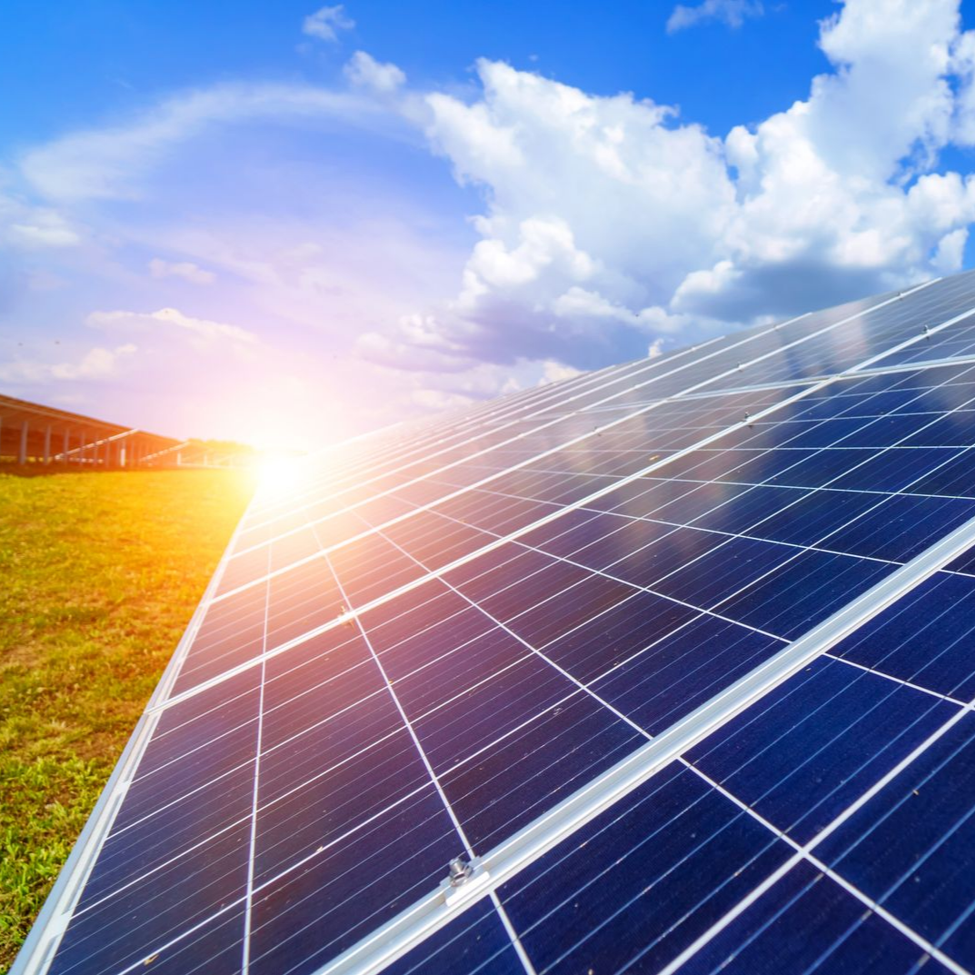 Des panneaux solaires dans un champ