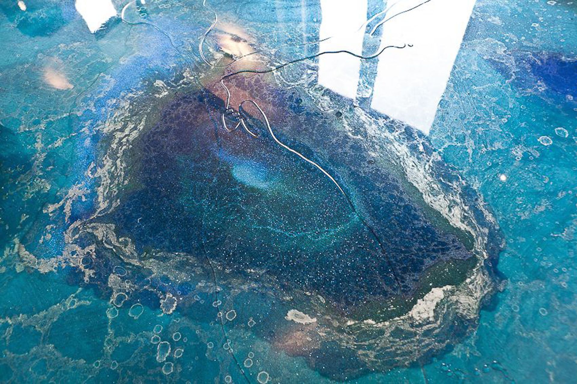 Malerei & Farbenhaus Guerini GmbH | Goldach