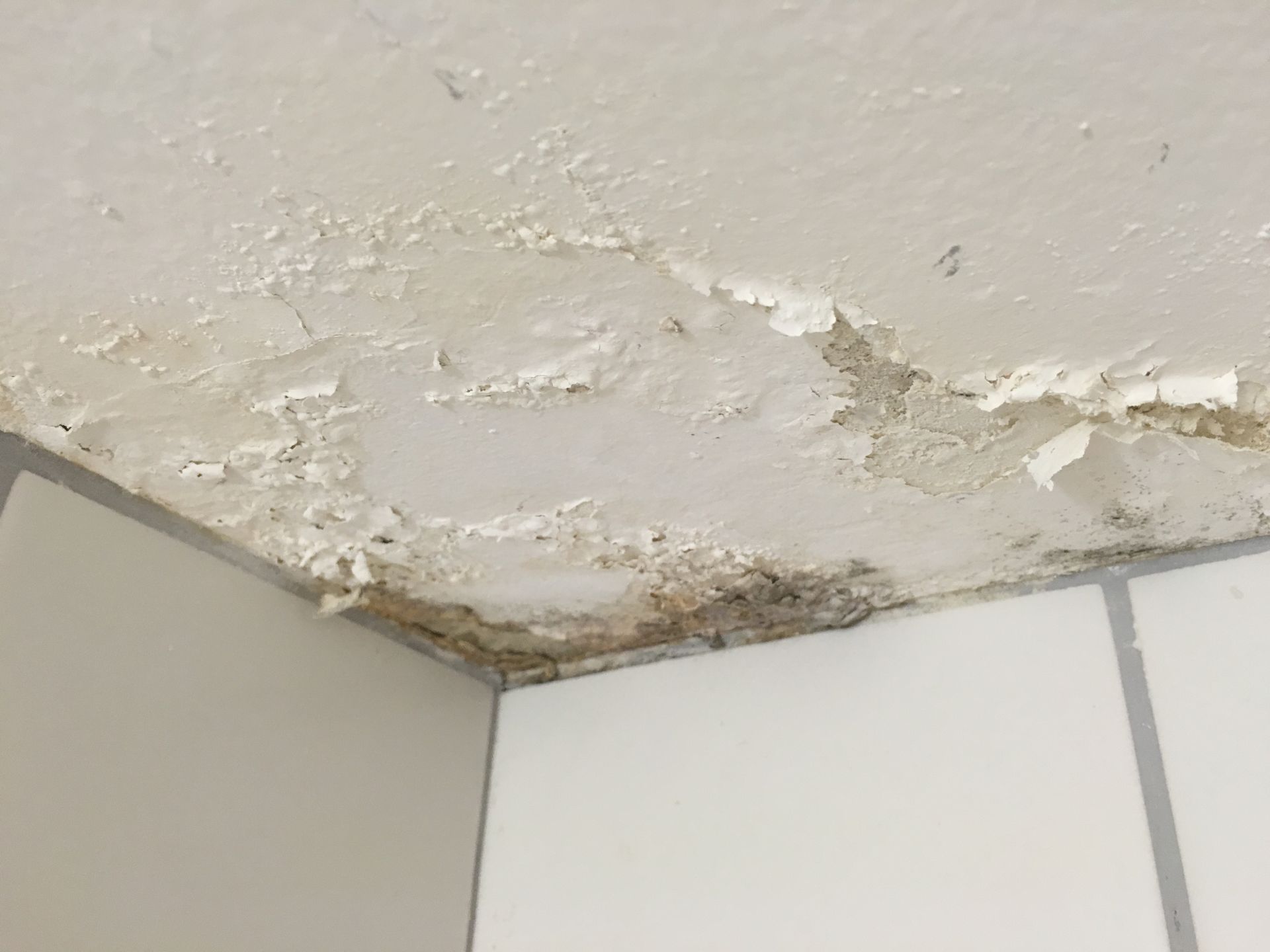 Malerei & Farbenhaus Guerini GmbH | Goldach