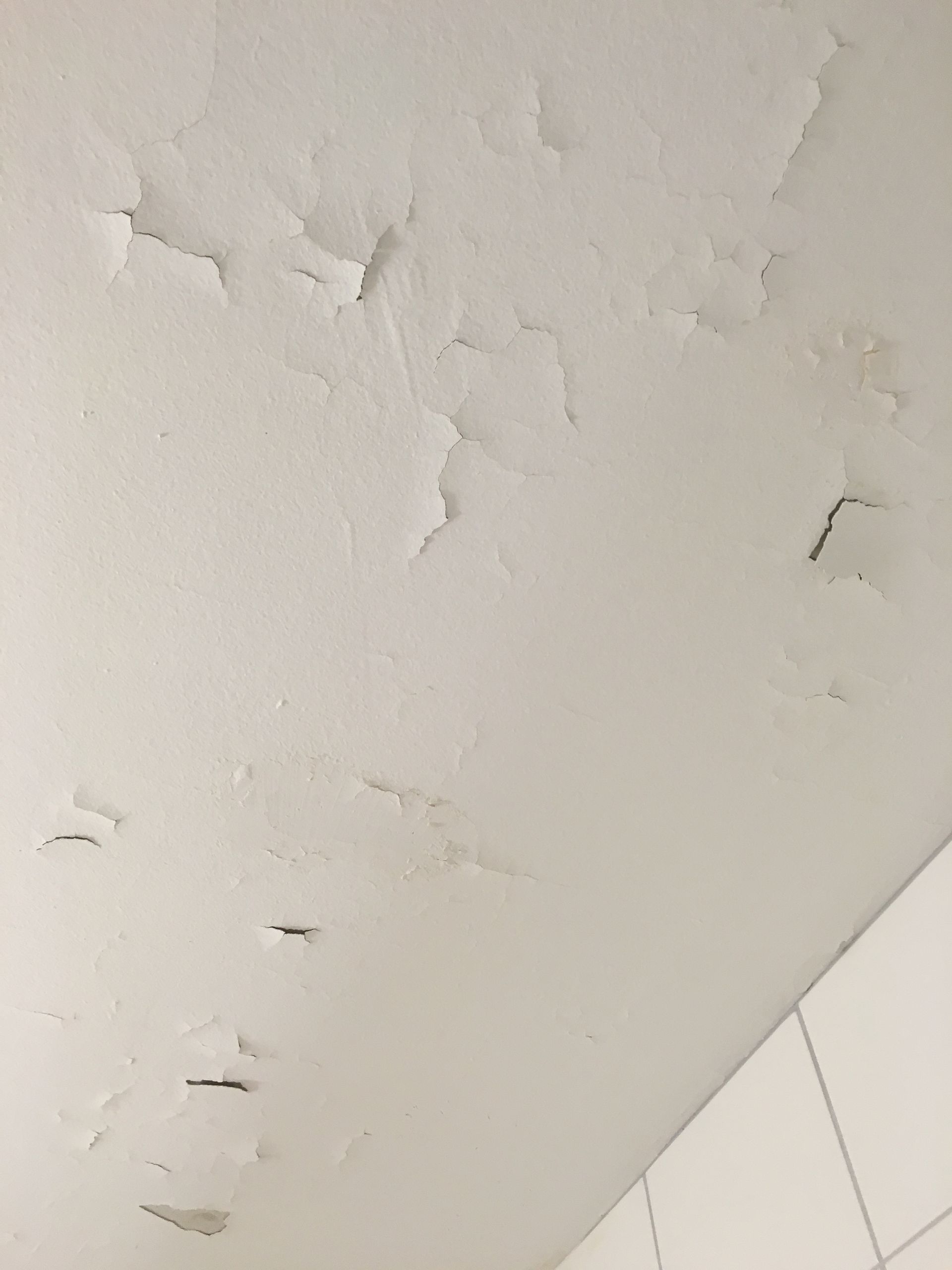 Malerei & Farbenhaus Guerini GmbH | Goldach