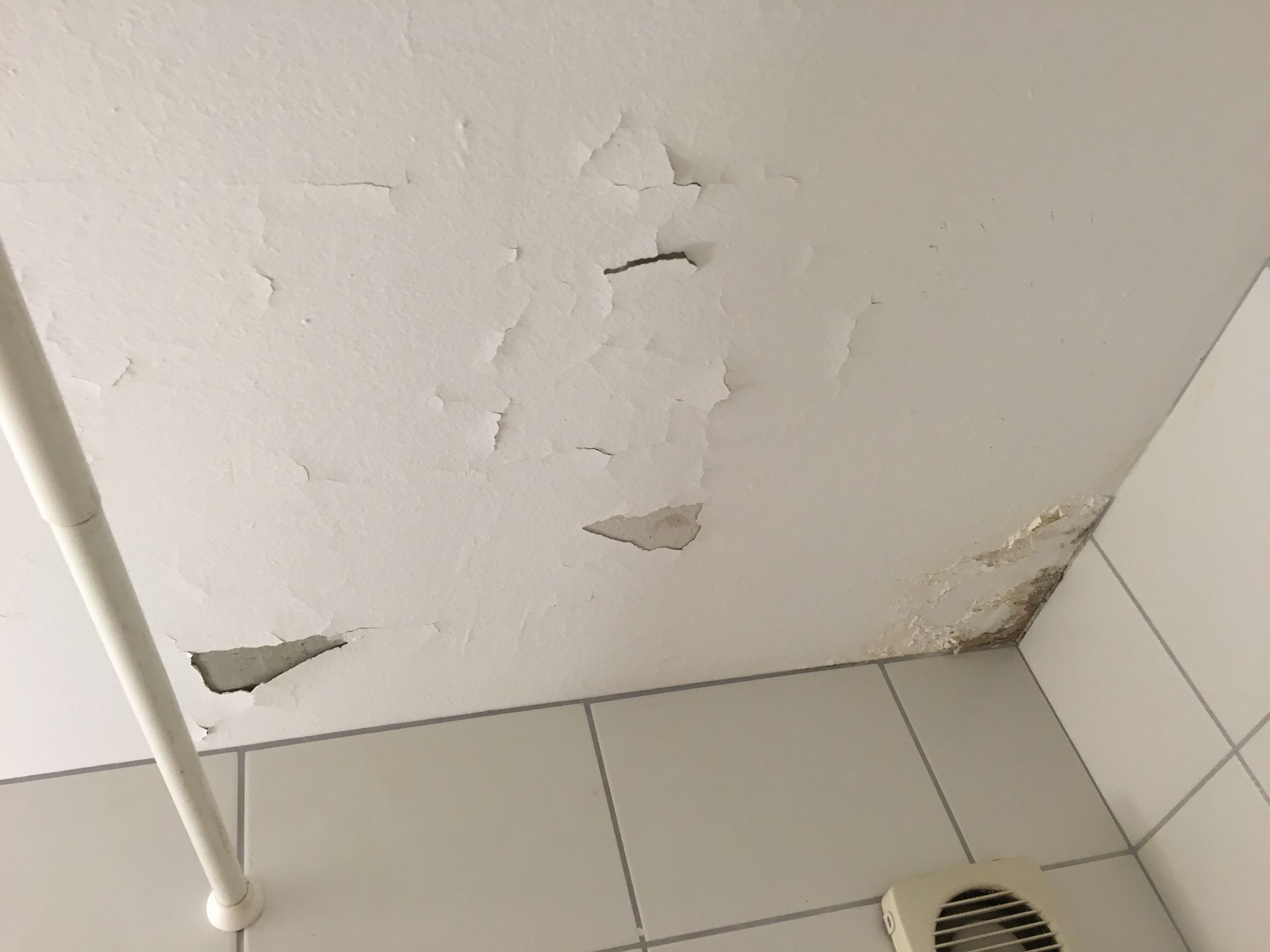 Malerei & Farbenhaus Guerini GmbH | Goldach