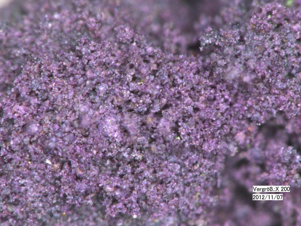 Malerei & Farbenhaus Guerini GmbH | Goldach