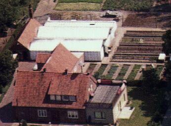 Leidenschaft für Pflanzen und Blumen