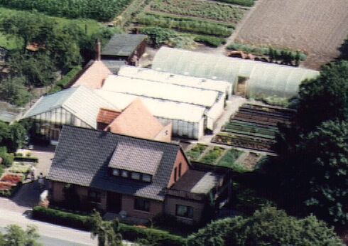 hochwertige Blumen und Pflanzen