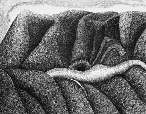 Richard Aeschlimann - livres